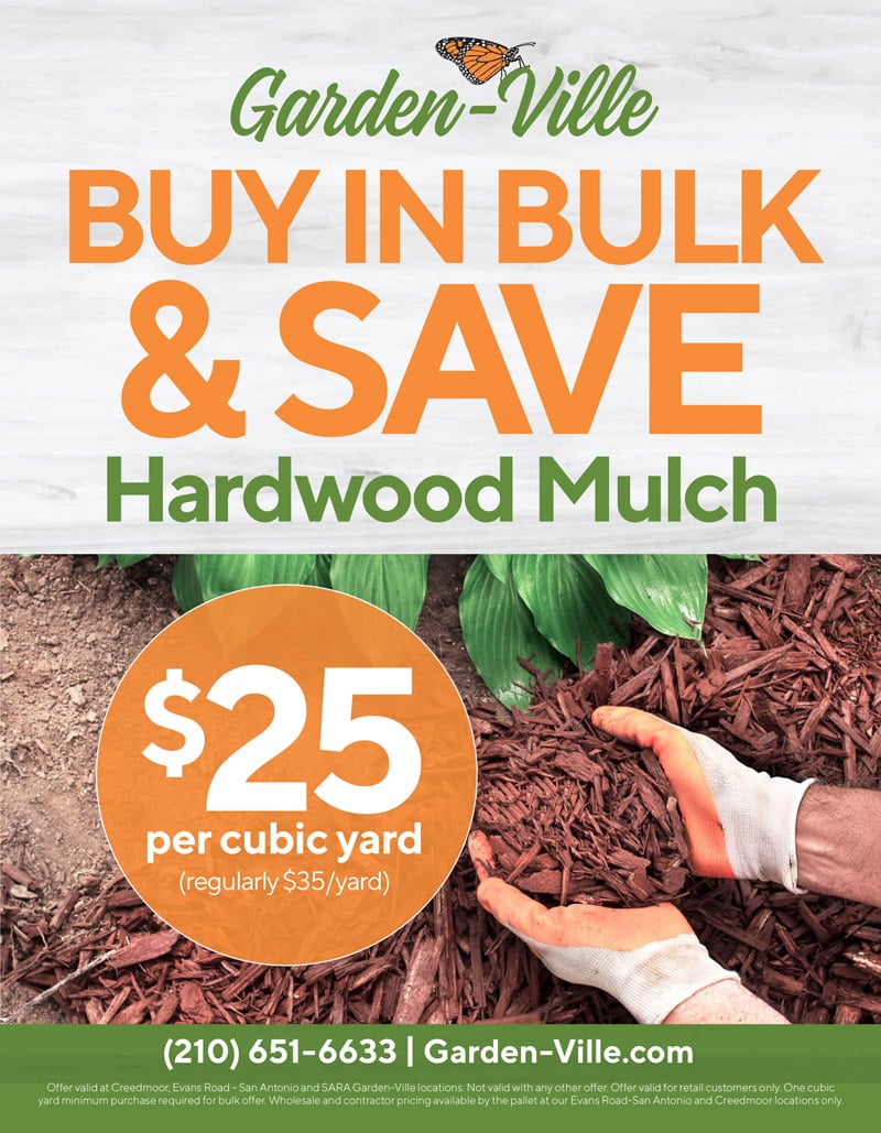 Buy-In-Bulk-Sale-January-2026