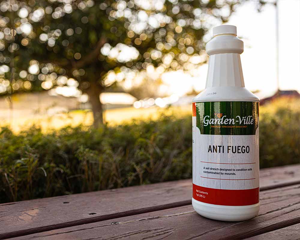 Botella de Anti-Fuego de Garden-Ville sobre una terraza de madera