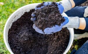Gloved hands holding dark compost over a bucket